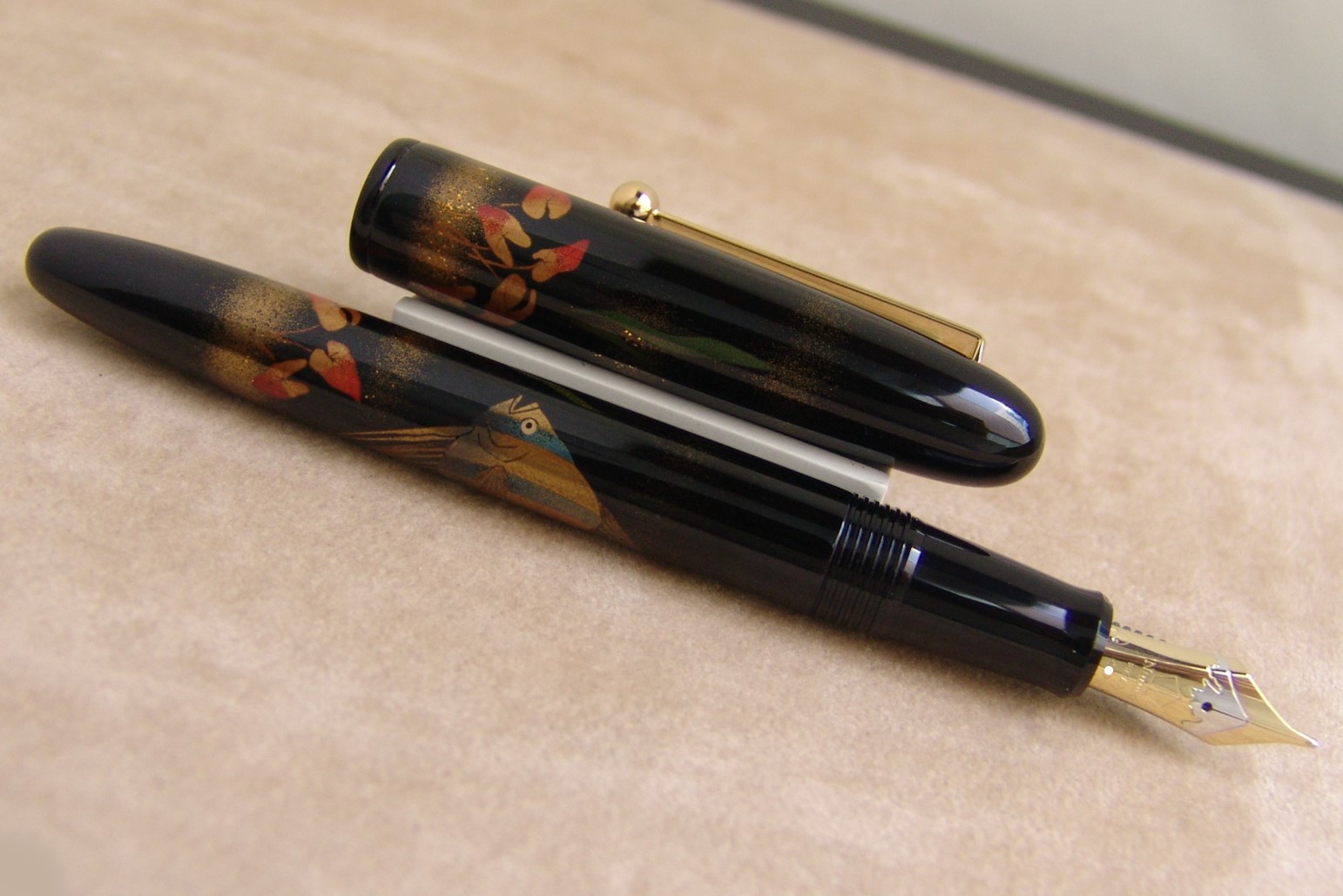 NamikiYukariTropiciFishFP_A